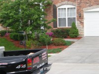 Accel Landscaping