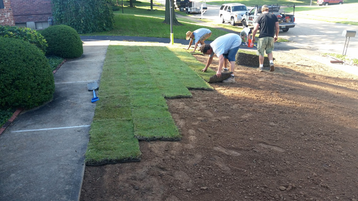 Zoysia Sod Installation